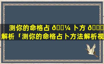 测你的命格占 🌼 卜方 🐞 法解析「测你的命格占卜方法解析视频」